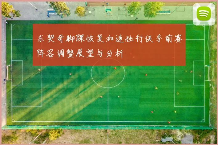 东契奇脚踝恢复加速独行侠季前赛阵容调整展望与分析
